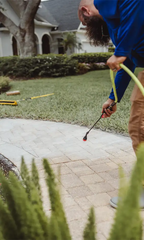 Paver sealing Southwest florida
